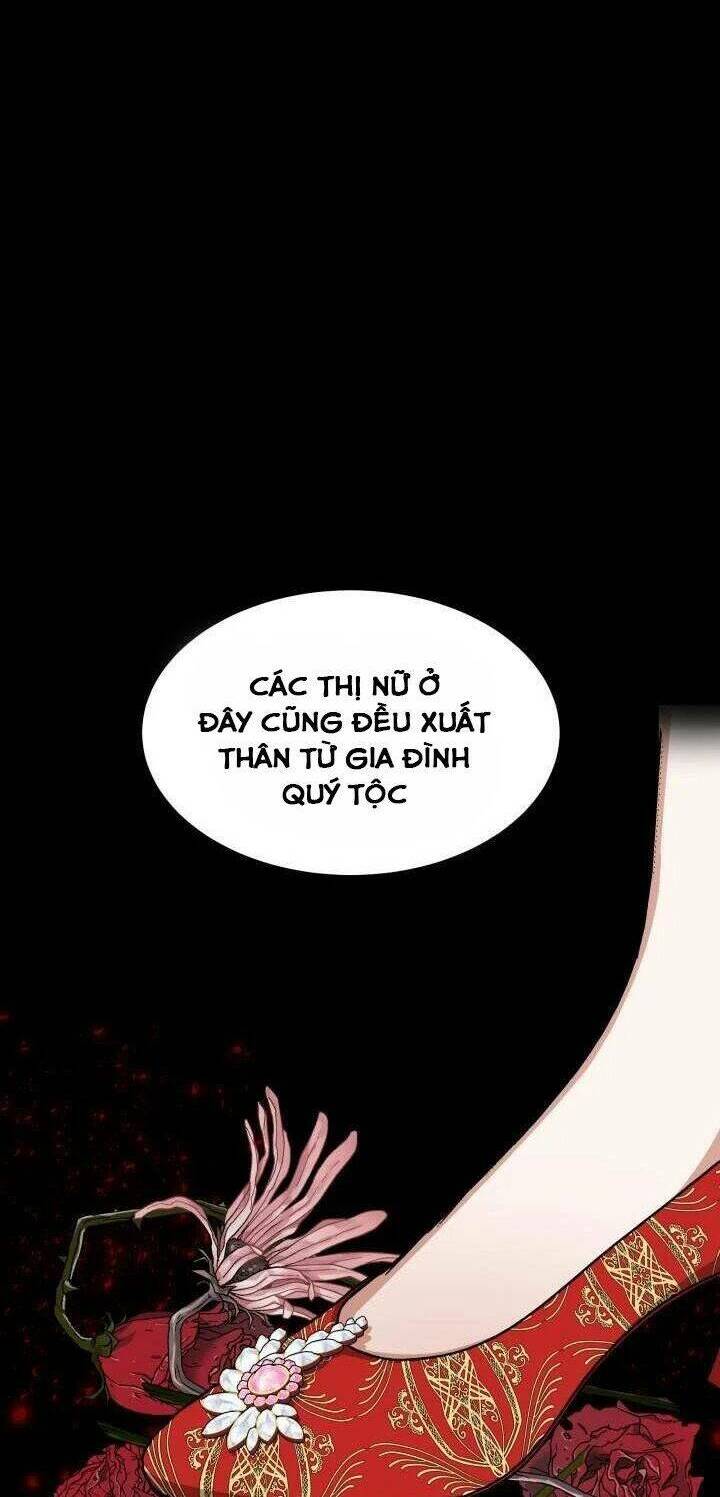 Hoa Nguyệt Quế Đỏ Tặng Hoàng Đế Của Tôi Chương 8 Ảnh 21