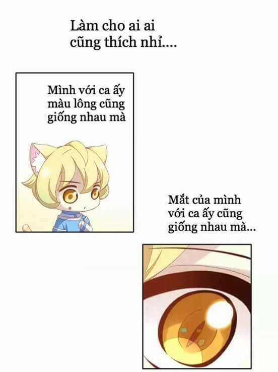 Dưới Móng Vuốt Mèo Chương 10 Ảnh 14