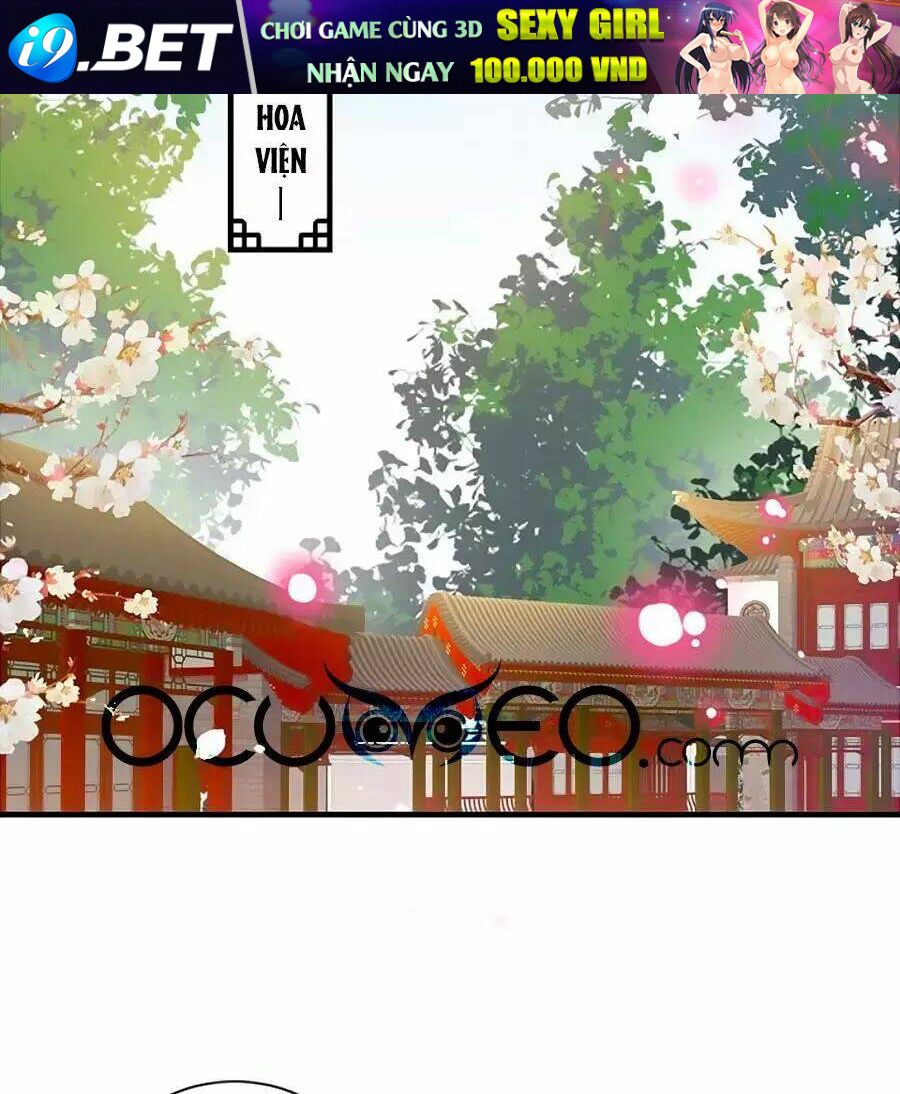 Thịnh Thế Lê Hoa Điện Chương 87 Ảnh 33