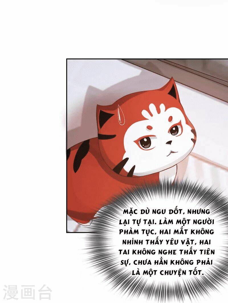 Ta Vốn Là Mèo Chương 2 Ảnh 34