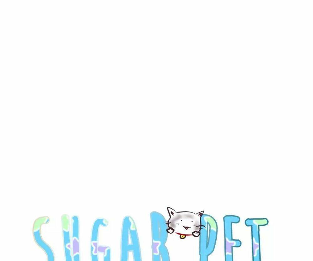 Sugar Pet Chương 6 Ảnh 15