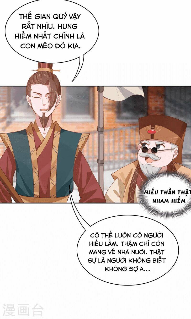 Ta Vốn Là Mèo Chương 4 Ảnh 53