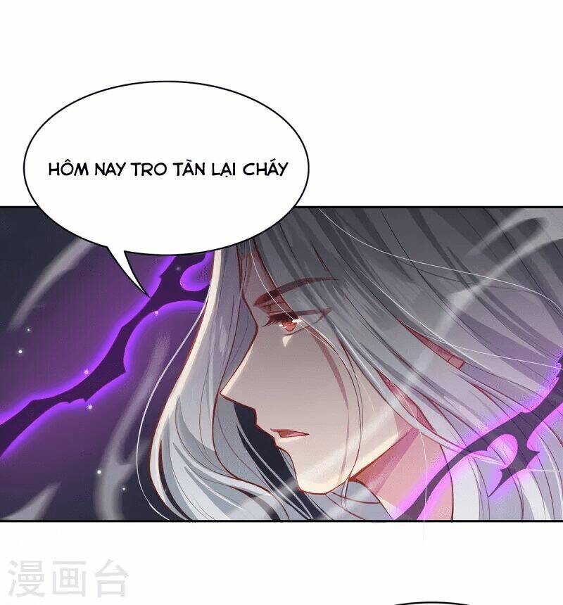Ta Vốn Là Mèo Chương 3 Ảnh 6