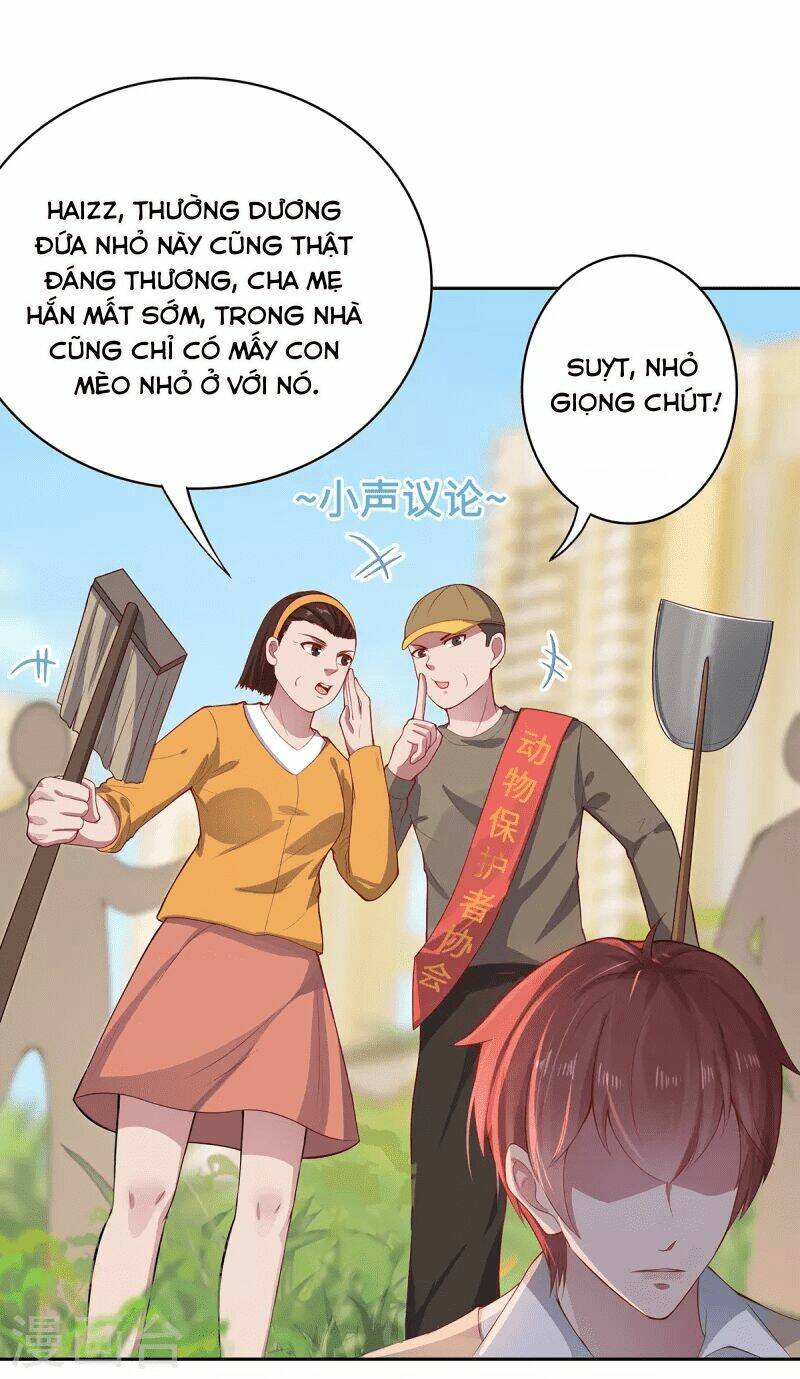 Ta Vốn Là Mèo Chương 2 Ảnh 13