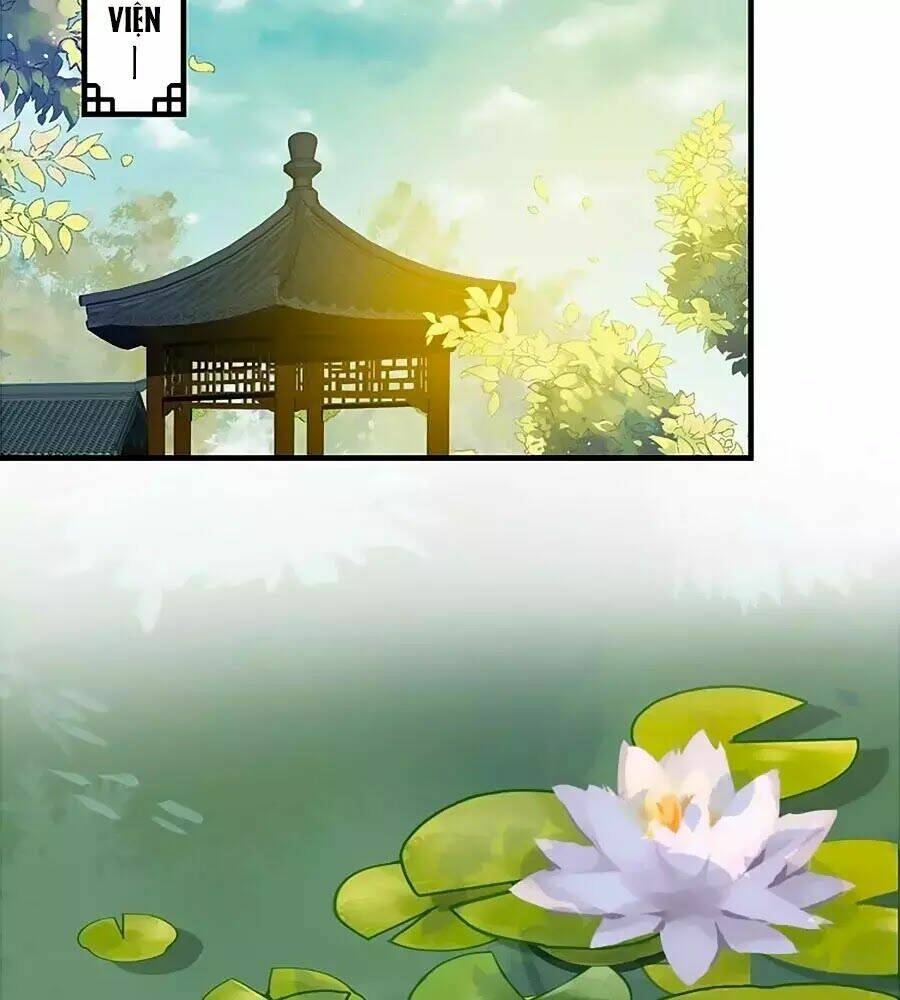 Thịnh Thế Lê Hoa Điện Chương 76 Ảnh 42