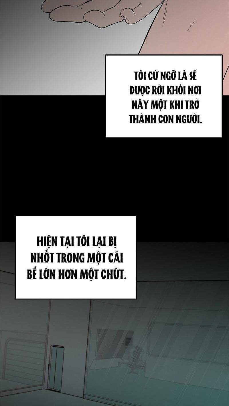 BưƠM BưỚM Và MáU Chương 53 Ảnh 15