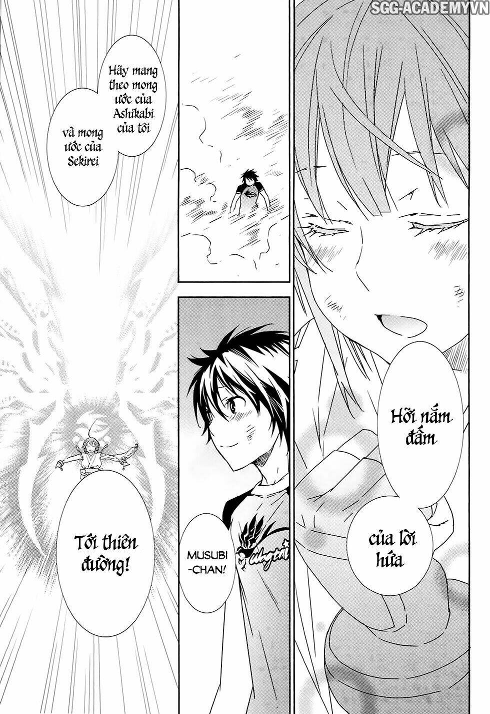 Sekirei Chương 182 Ảnh 12