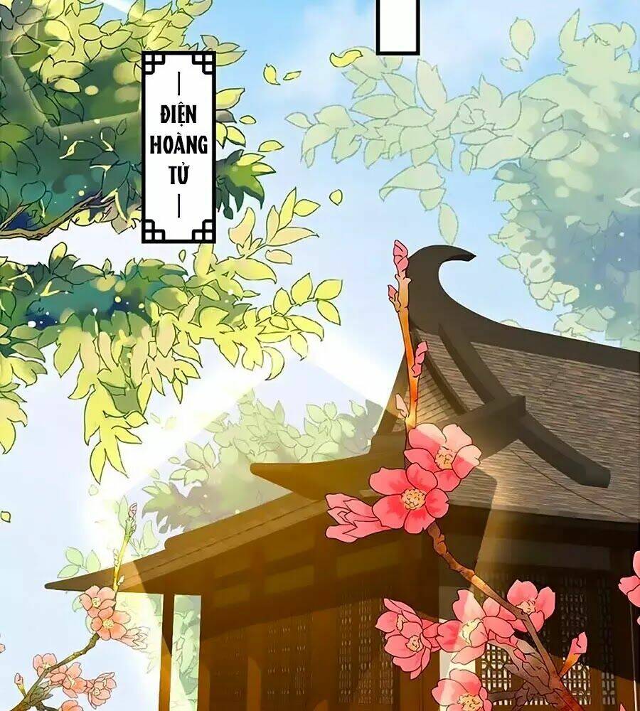 Thịnh Thế Lê Hoa Điện Chương 74 Ảnh 31