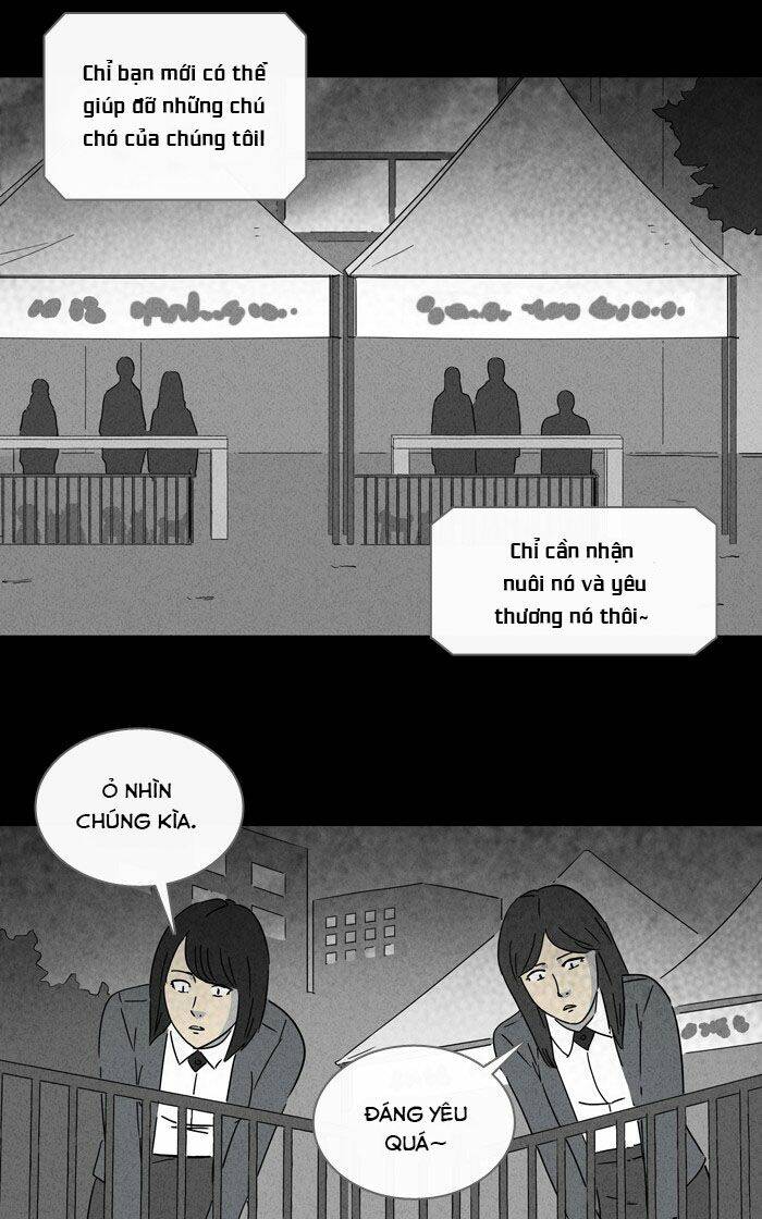 Những Câu Chuyện Bất Thường Chương 239 Ảnh 28