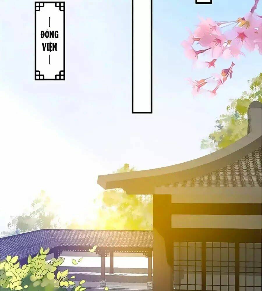 Thịnh Thế Lê Hoa Điện Chương 76 Ảnh 33