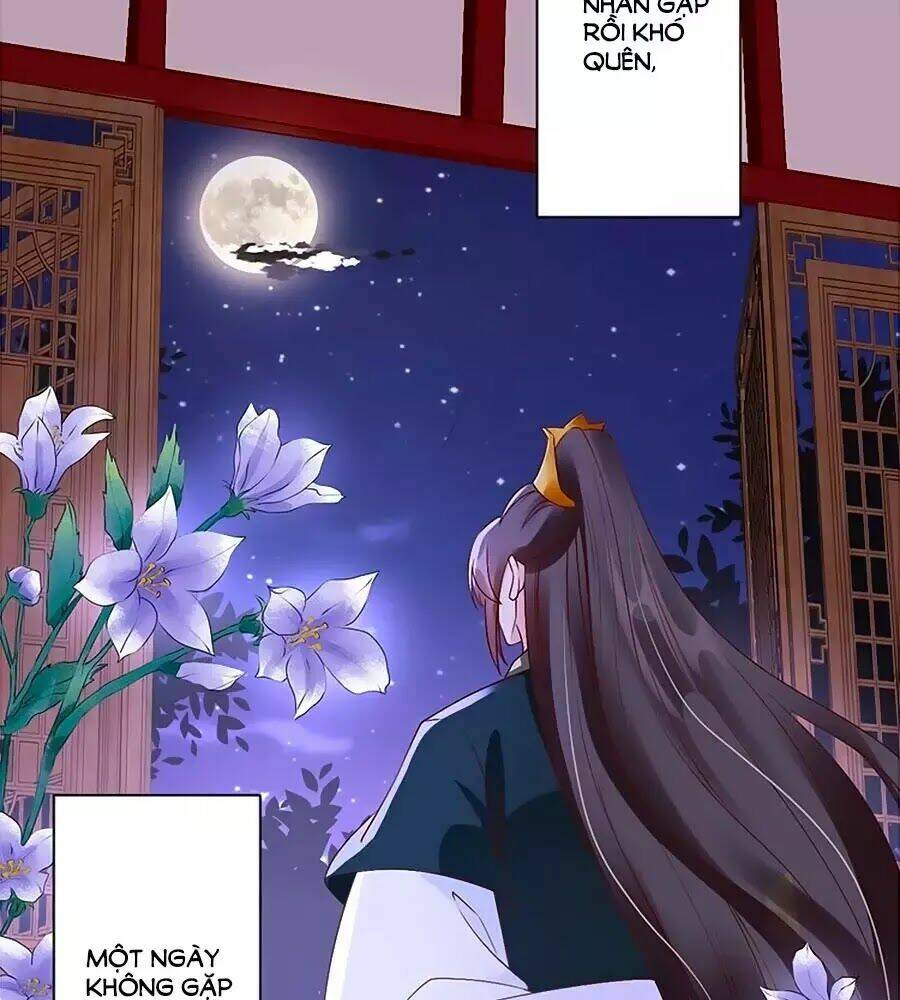 Thịnh Thế Lê Hoa Điện Chương 77 Ảnh 49
