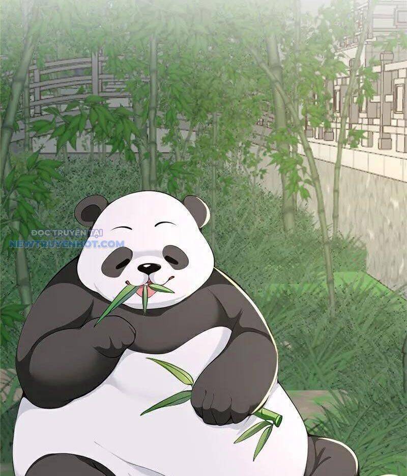 Ta Thực Sự Không Muốn Làm Thần Tiên Chương 109 Ảnh 23