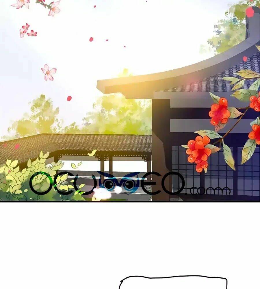 Thịnh Thế Lê Hoa Điện Chương 79 Ảnh 3