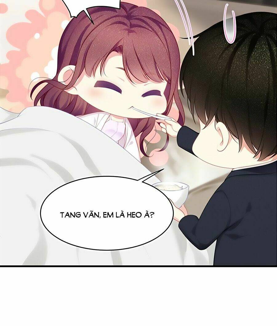 Ta Với Bốn Vị Cố Tiên Sinh Chương 33 Ảnh 7
