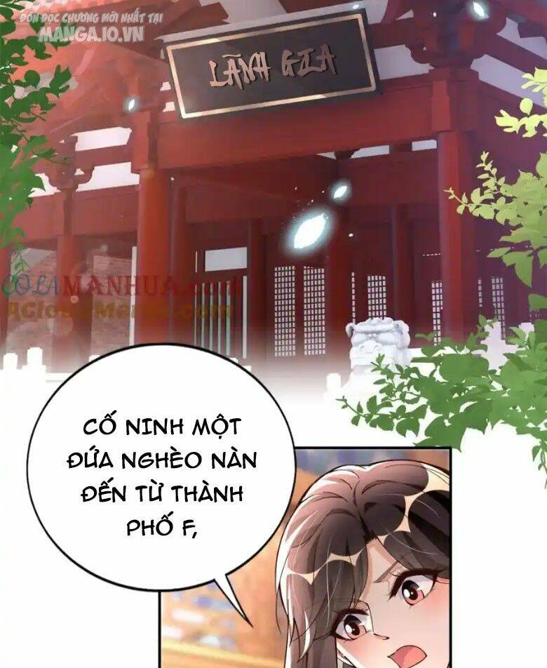 Boss Nhà Giàu Lại Là Nữ Sinh Trung Học! Chương 216 Ảnh 3
