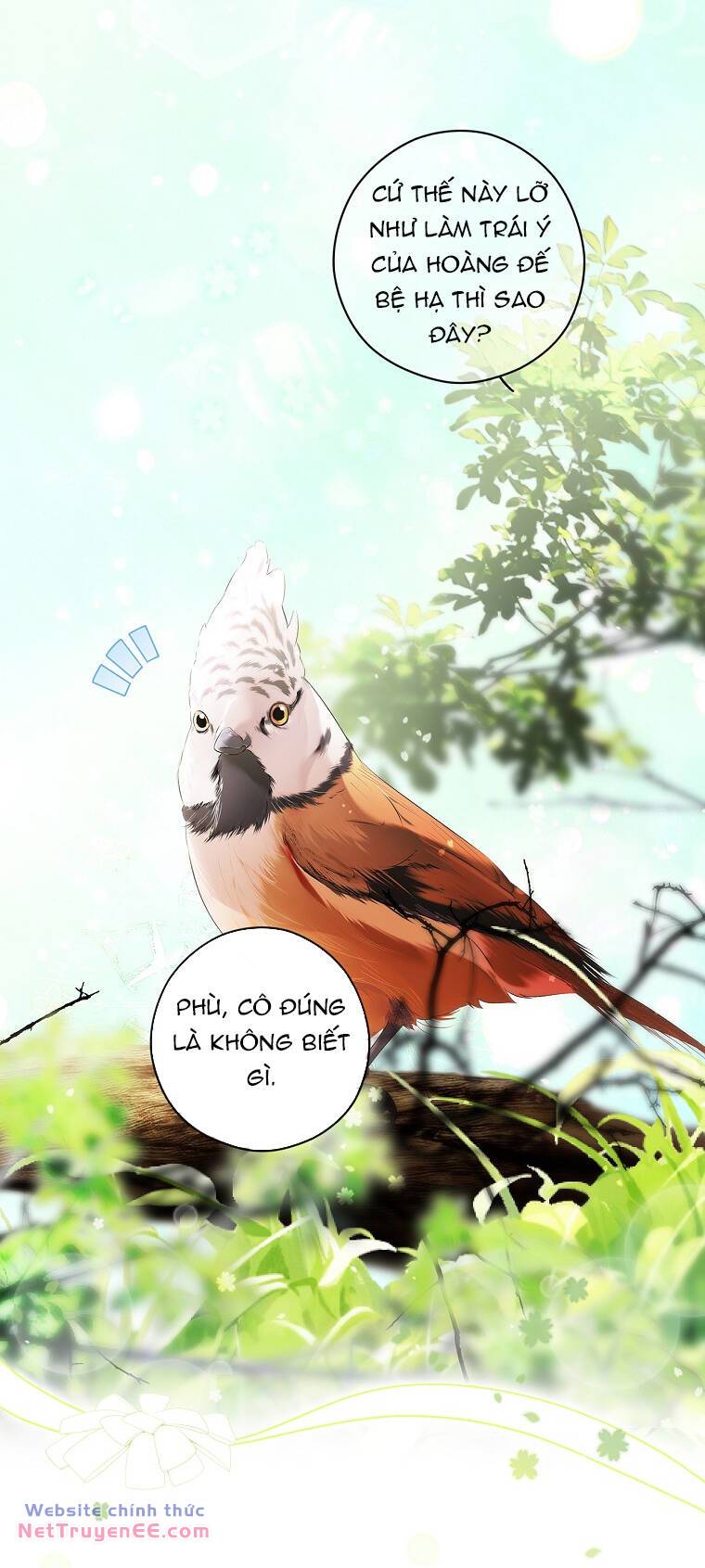 Bí Mật Của Quý Cô Chương 94.1 Ảnh 5