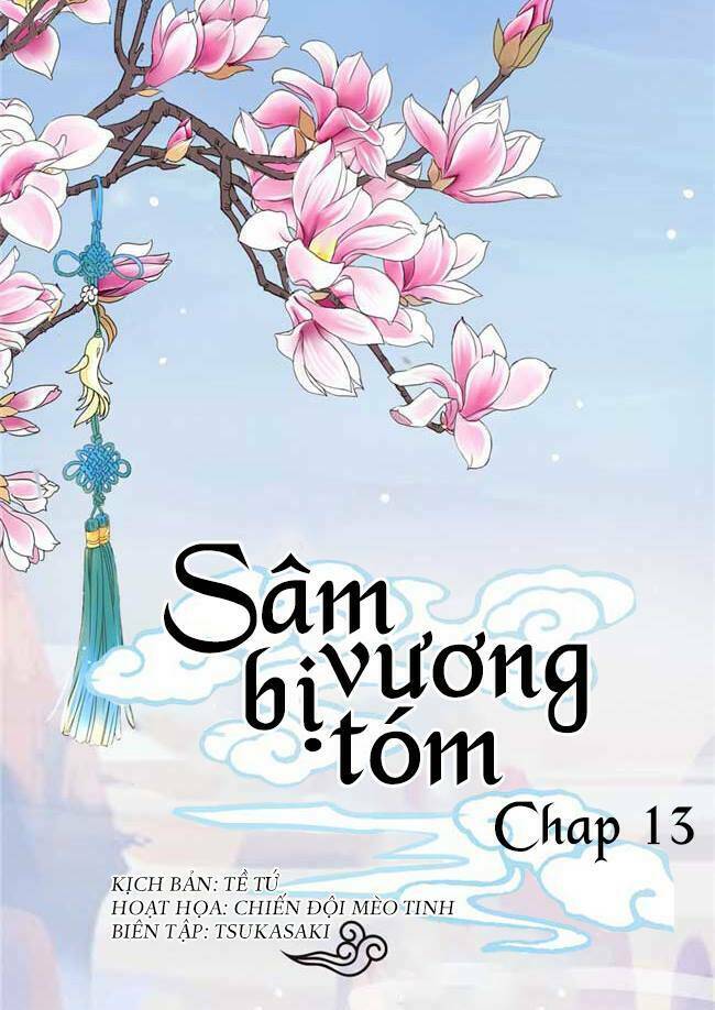 Sâm Vương Bị Tóm Chương 13 Ảnh 2