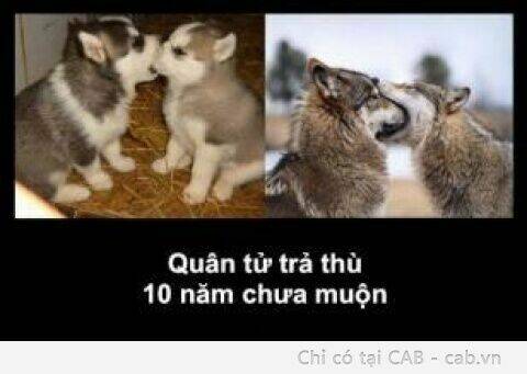 Rage Comic-Troll Chương 50 Ảnh 10