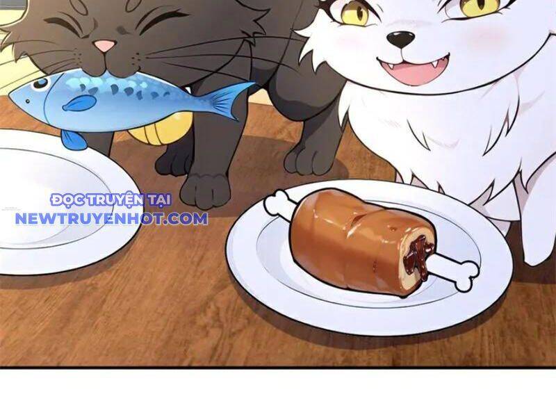 Ta Thực Sự Không Muốn Làm Thần Tiên Chương 120 Ảnh 56