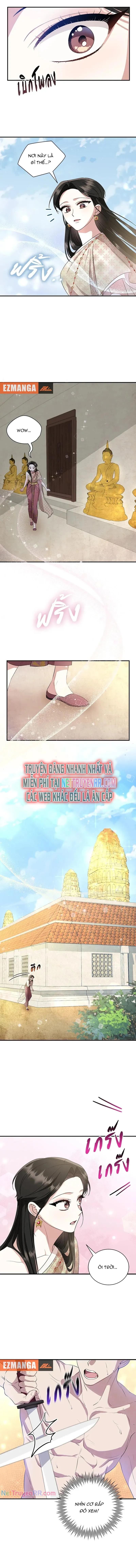Ngược Dòng Thời Gian Để Yêu Anh Chương 13 Ảnh 11