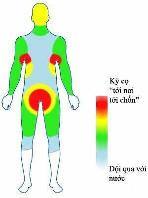 Rage Comic-Troll Chương 50 Ảnh 11