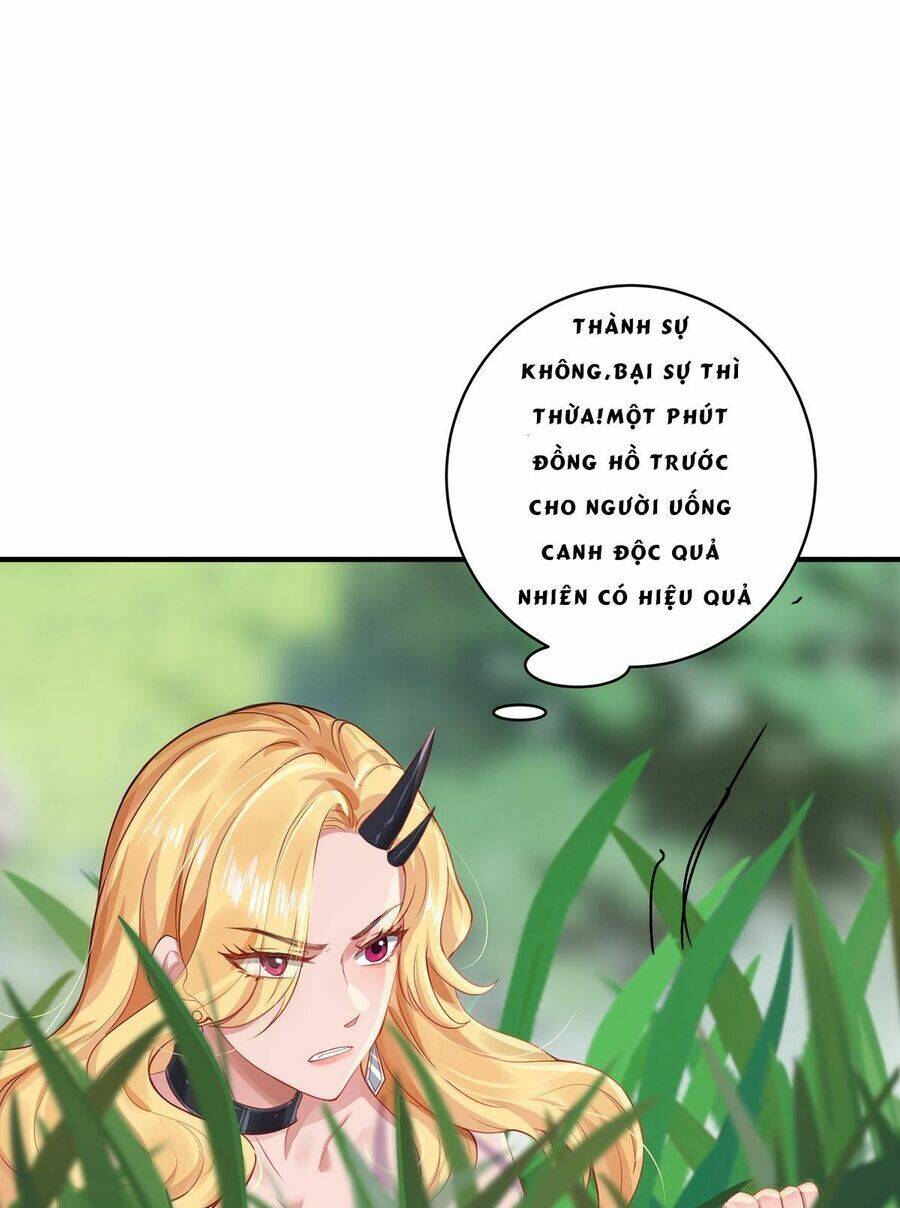 Ta Vốn Là Mèo Chương 11 Ảnh 4