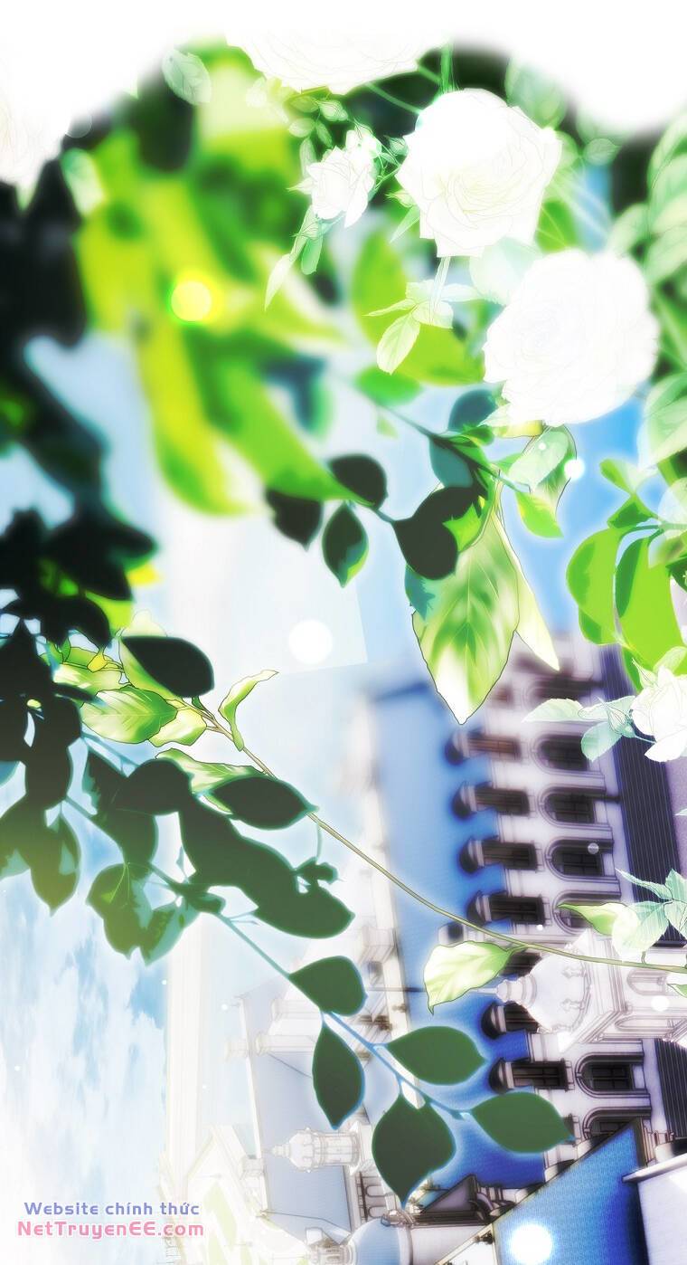 Bí Mật Của Quý Cô Chương 94.1 Ảnh 11