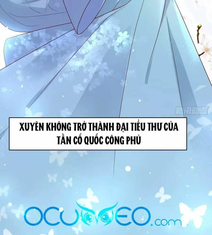 Quyền Phi Chi Đế Y Phong Hoa Chương 2 Ảnh 6