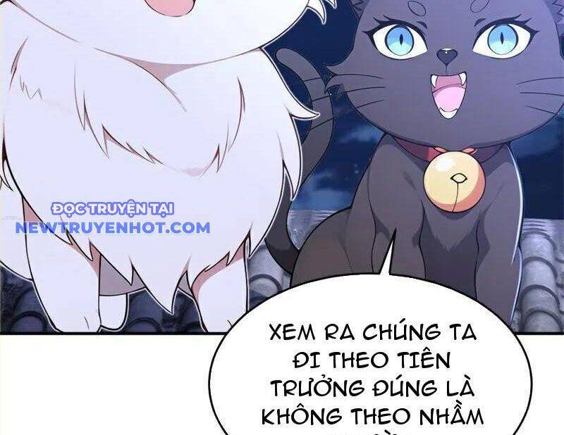 Ta Thực Sự Không Muốn Làm Thần Tiên Chương 119 Ảnh 8
