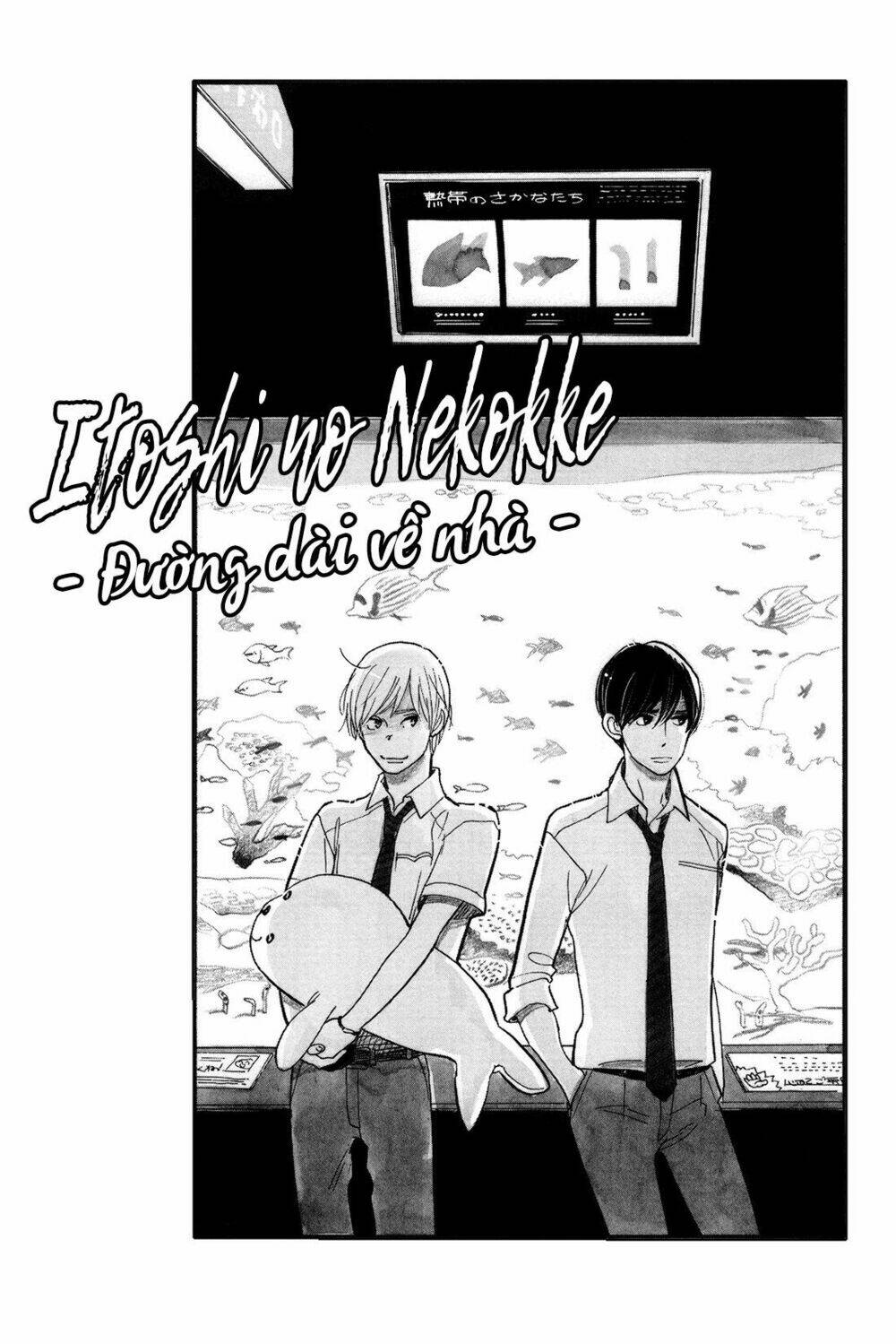 Itoshi No Nekokke - Đường Dài Về Nhà Chương 3 Ảnh 2