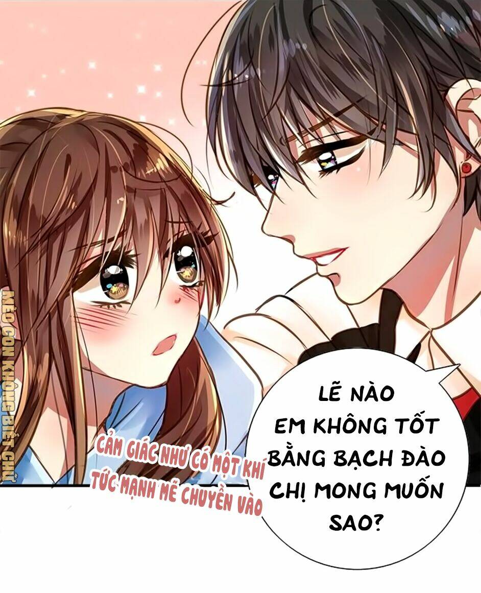 Không Có Ssr Làm Sao Để Yêu Chương 5 Ảnh 25