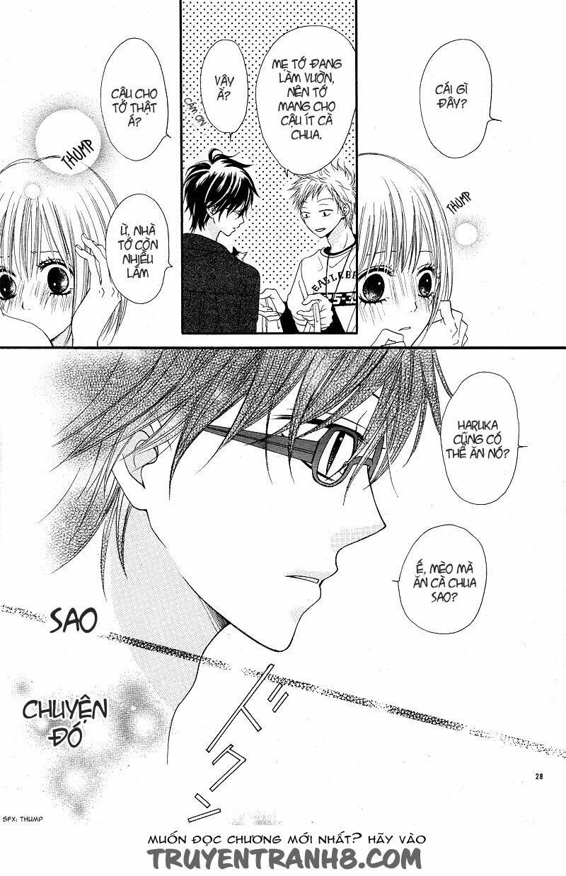 Kimi To Koi O Shitta Chương 3 Ảnh 25