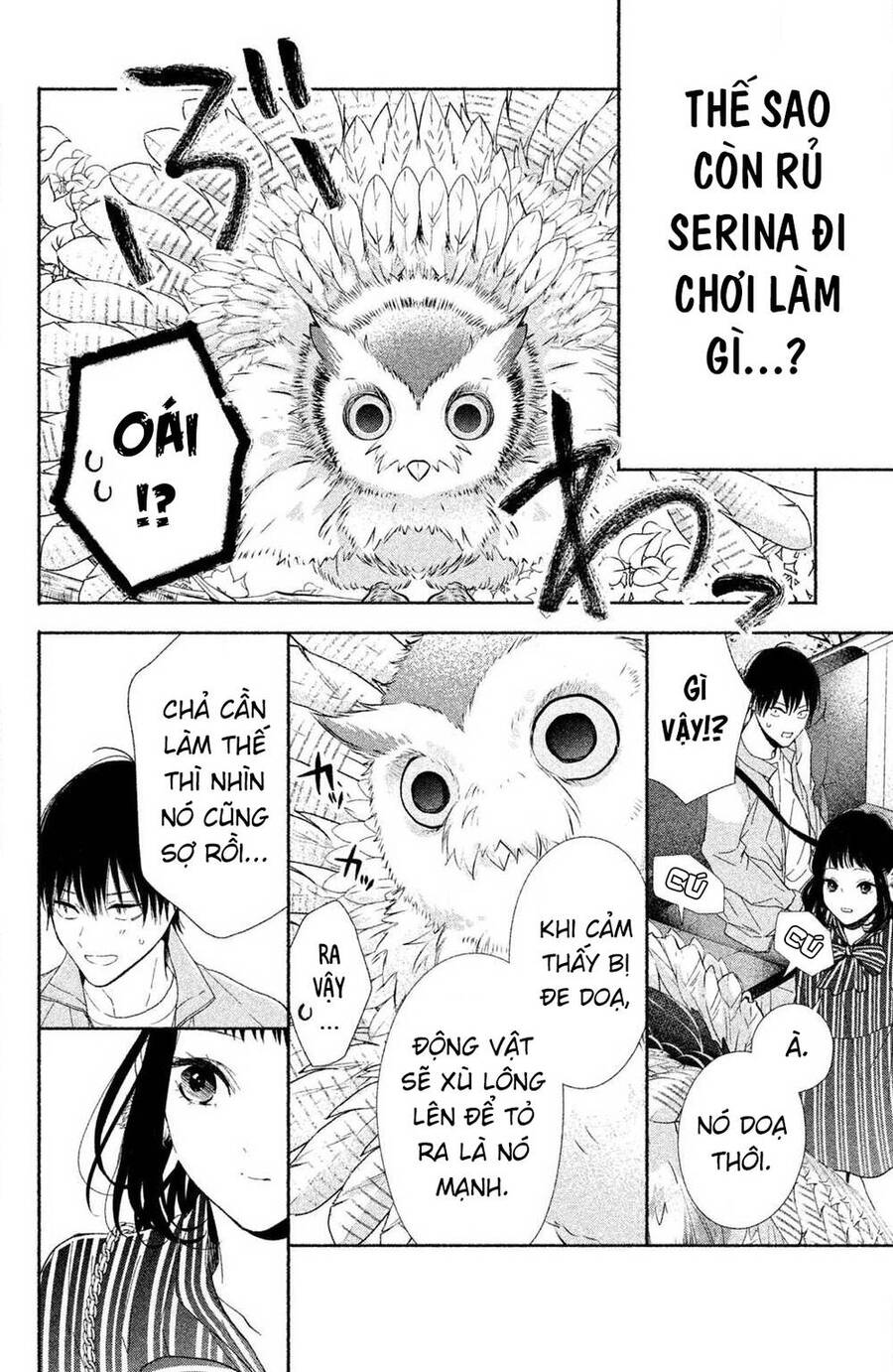 Kamiki Kyoudai Okotowari Little Brother Chương 1 Ảnh 41