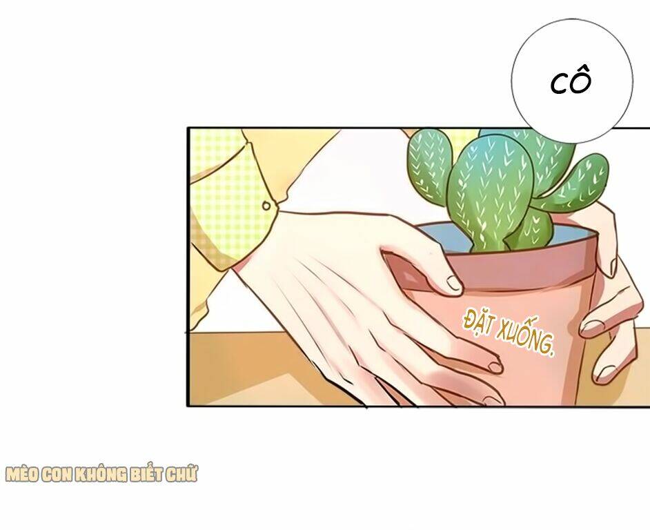 Không Có Ssr Làm Sao Để Yêu Chương 7 Ảnh 24