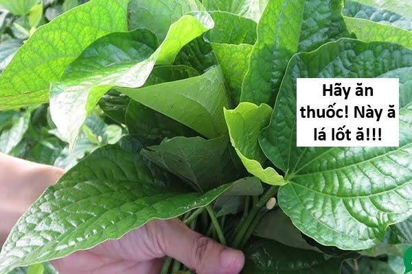 Hổ Đến Chơi Nhà (Puchimasu Miếu) Chương 139 Ảnh 49