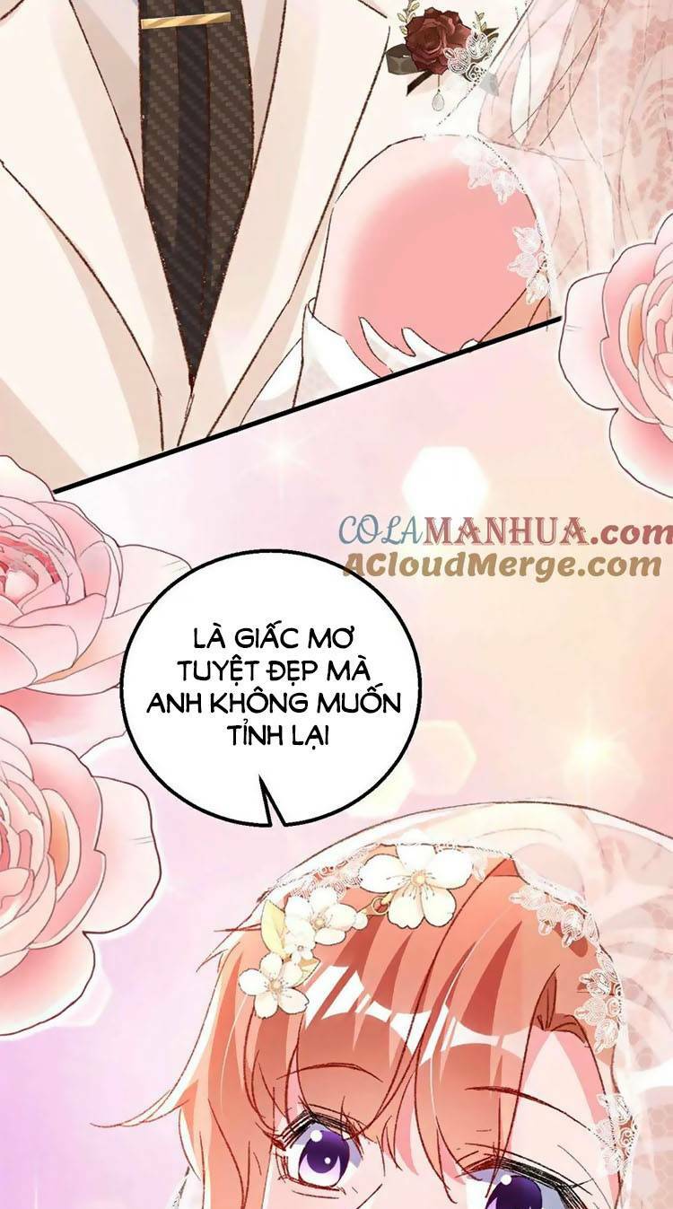Hôm Nay Từ Chối Lục Tiên Sinh Chưa? Chương 205 Ảnh 34