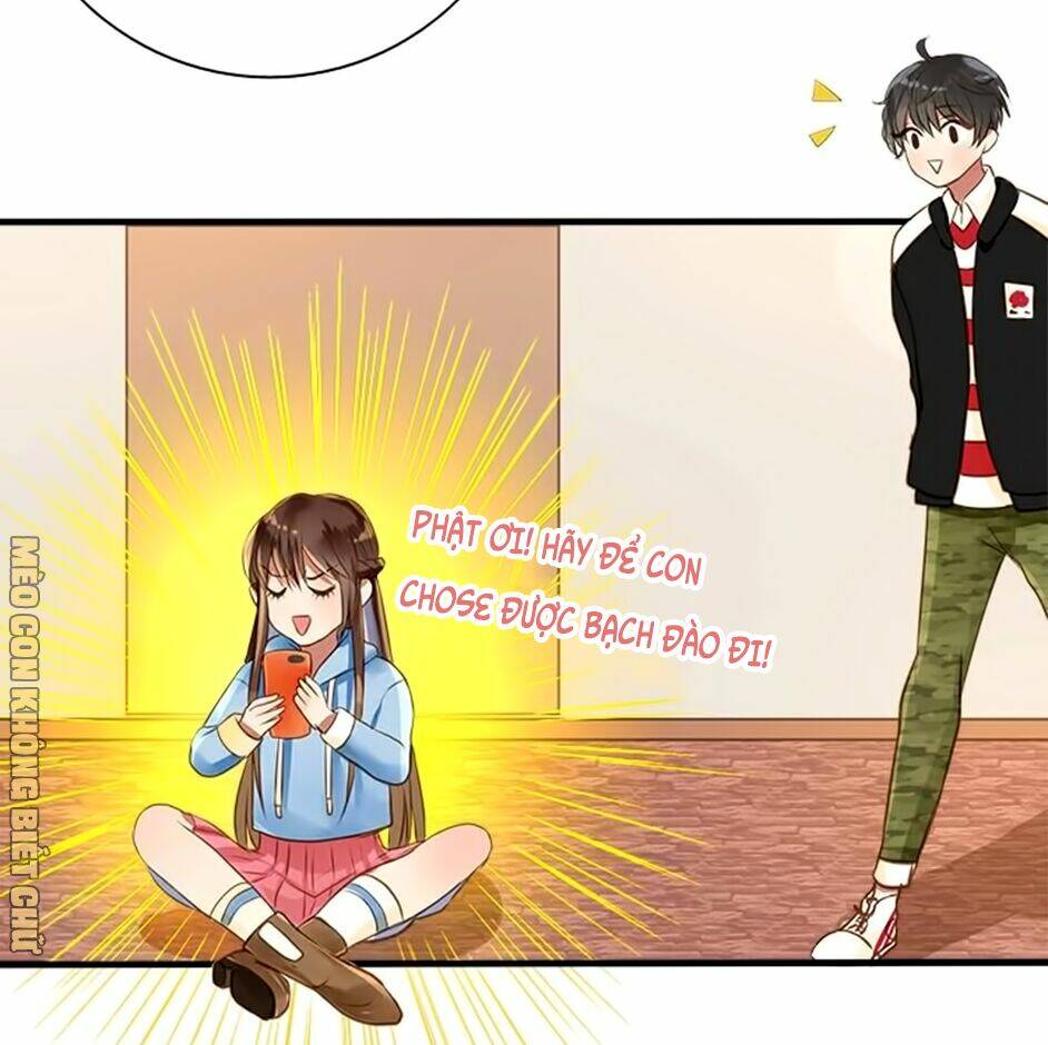 Không Có Ssr Làm Sao Để Yêu Chương 5 Ảnh 21