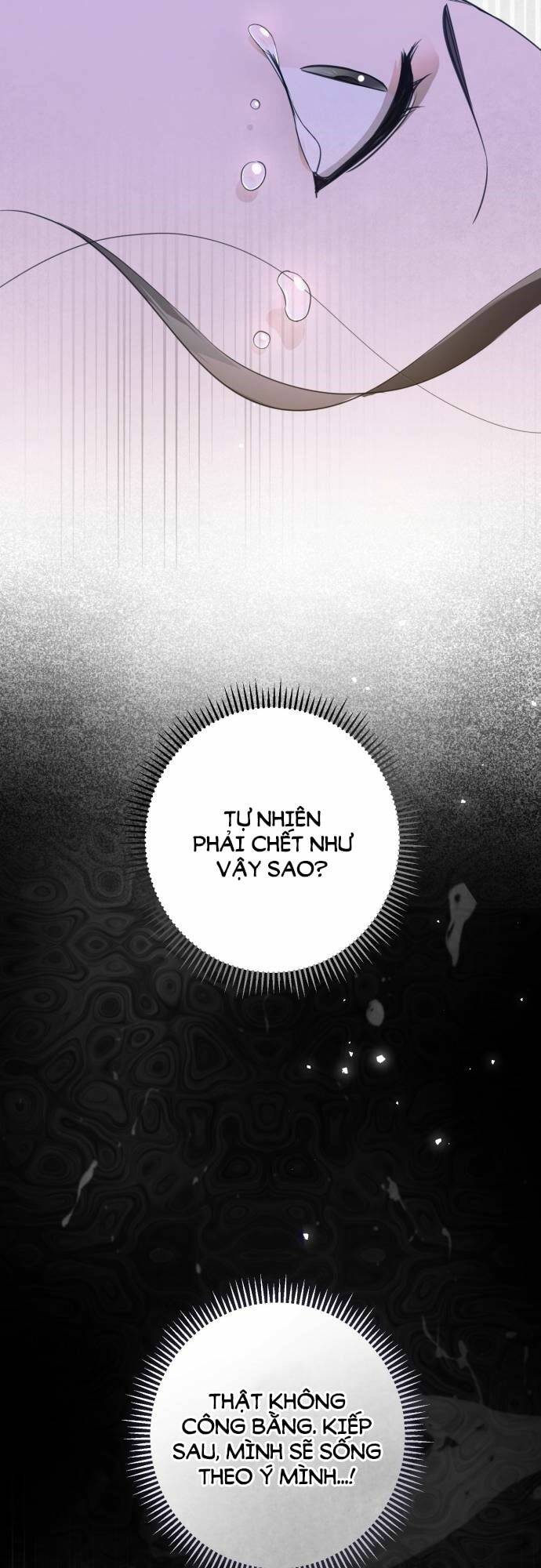 Tôi Là Một Nhân Vật Phản Diện, Nhưng Chồng Tôi Thật Đẹp Trai Chương 1 Ảnh 34