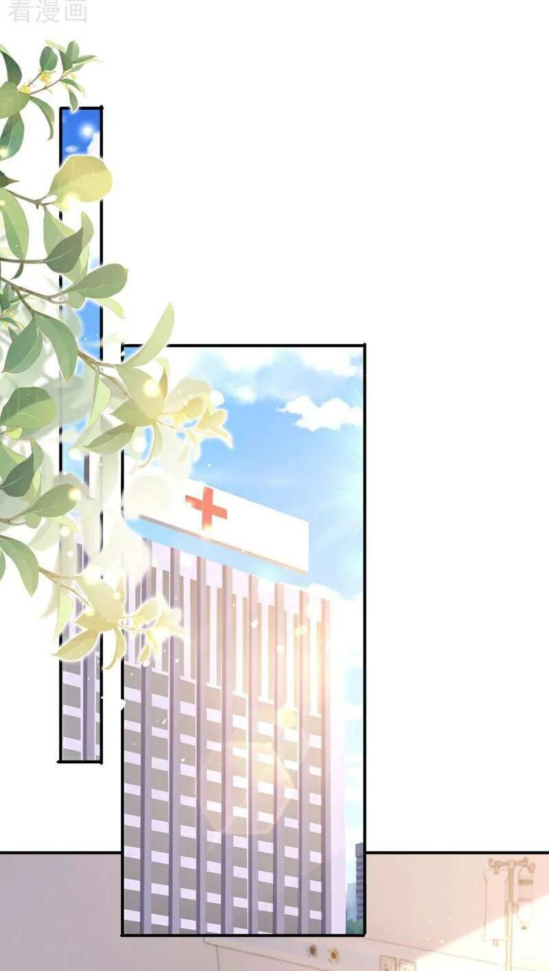 Hôm Nay Từ Chối Lục Tiên Sinh Chưa? Chương 194 Ảnh 16