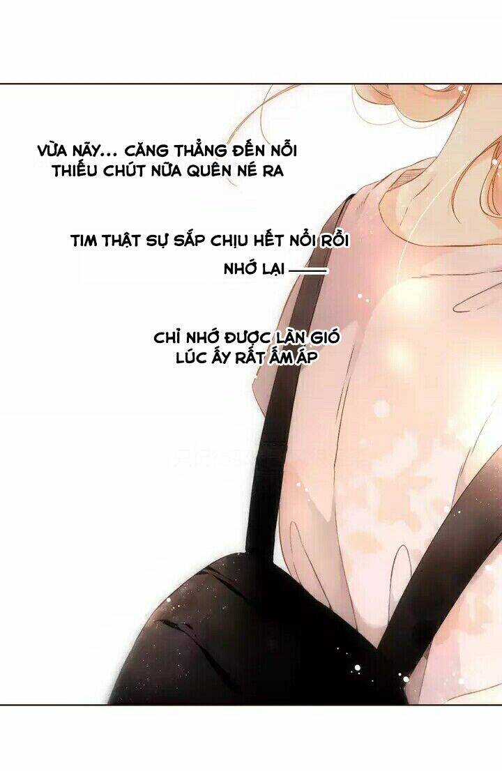 Tình Yêu Là Màu Hoa Anh Thảo Chương 28.2 Ảnh 25