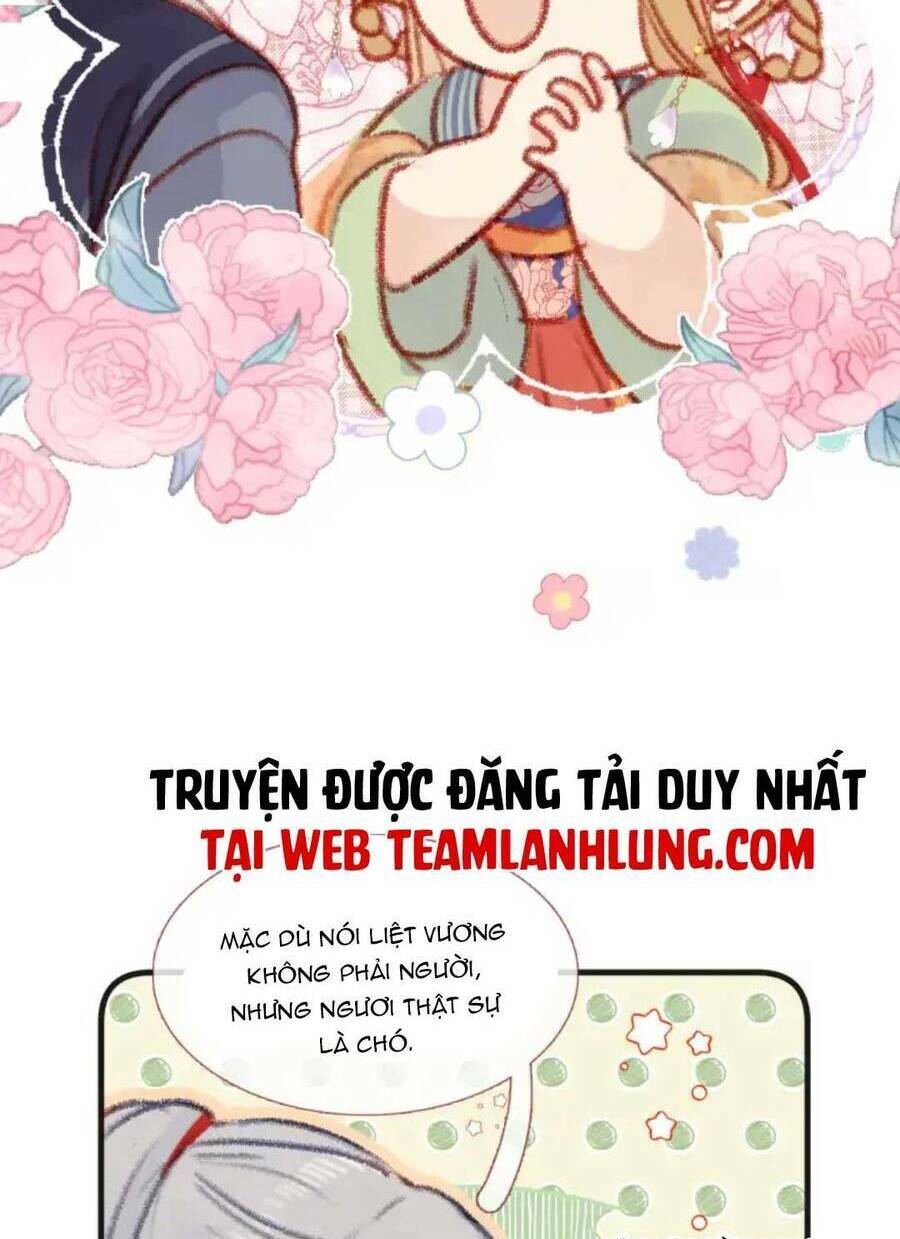 Hoàng Đế Bệ Hạ : Cùng Ta Đi Ăn Xin Nào Chương 12 Ảnh 51