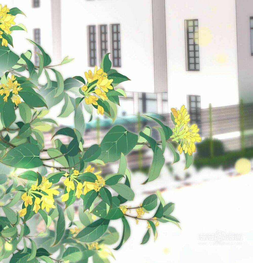 Khảo Nghiệm Cuối Cùng Của Tra Nữ Chương 13 Ảnh 38