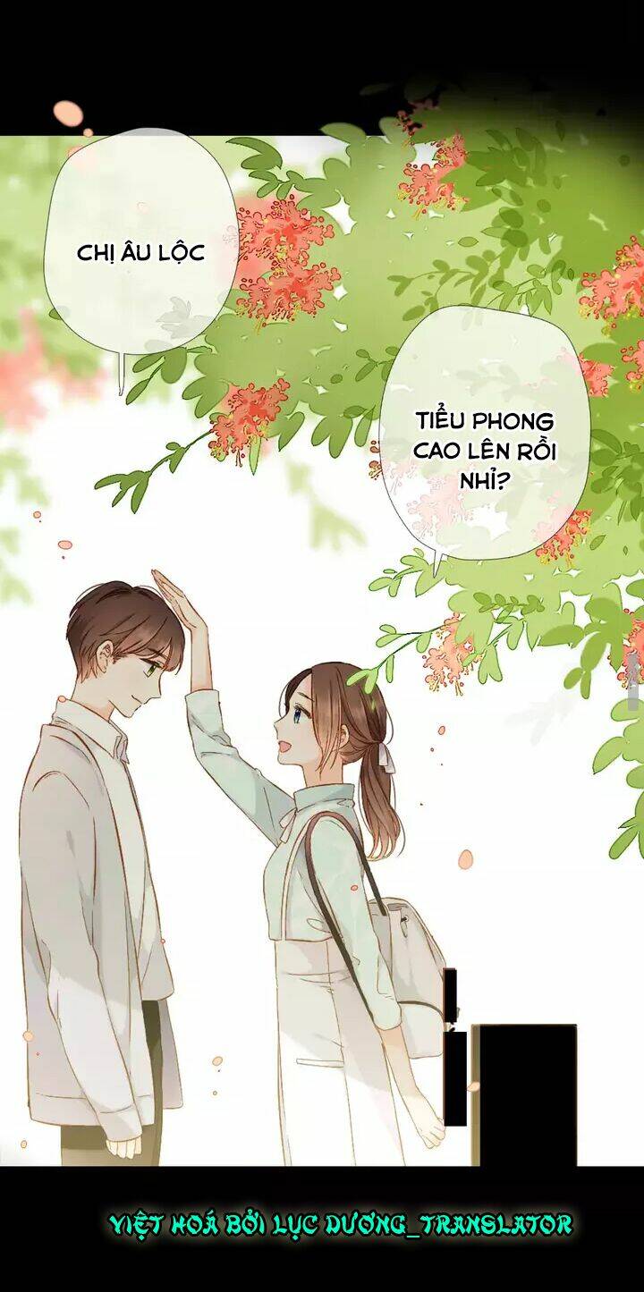 Tình Yêu Là Màu Hoa Anh Thảo Chương 32.3 Ảnh 50