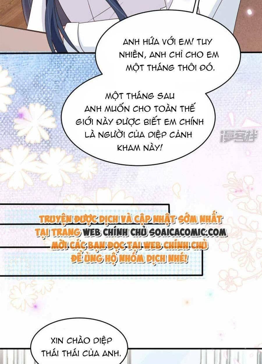 Tinh Quang Lộng Lẫy: Chọn Sếp Làm Chồng Chương 116 Ảnh 12