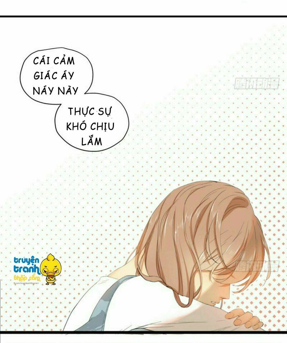 Cứu Mạng ! Loài Mèo Thống Trị Thế Giới Rồi ! Chương 35 Ảnh 13