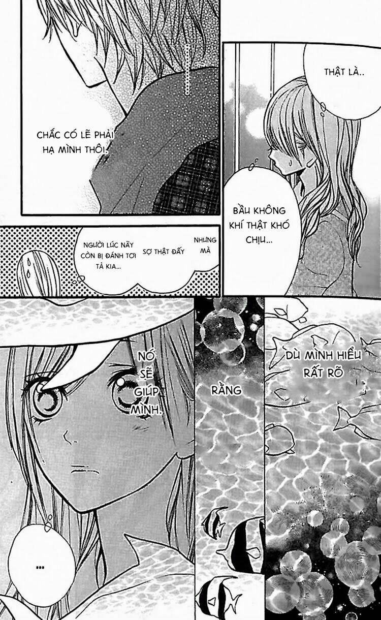 Hanagimi To Koisuru Watashi Chương 17 Ảnh 28