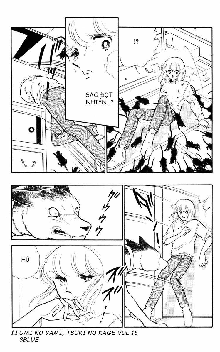 Umi No Yami, Tsuki No Kage Chương 73 Ảnh 13