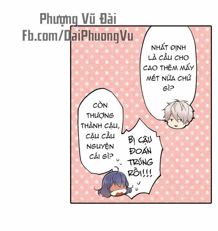 Mệnh Lệnh Tuyệt Đối Của Bá Đạo Vương Tử Chương 23 Ảnh 12