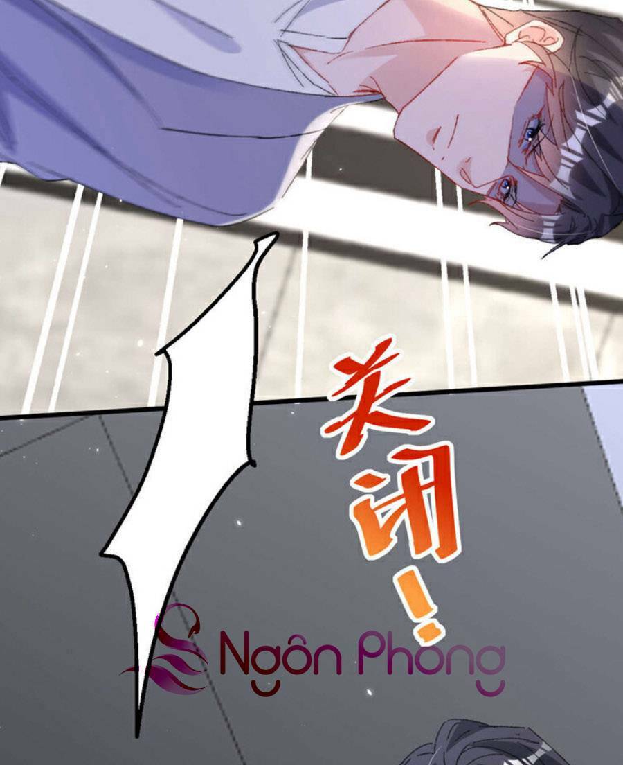 Hôm Nay Từ Chối Lục Tiên Sinh Chưa? Chương 193 Ảnh 4