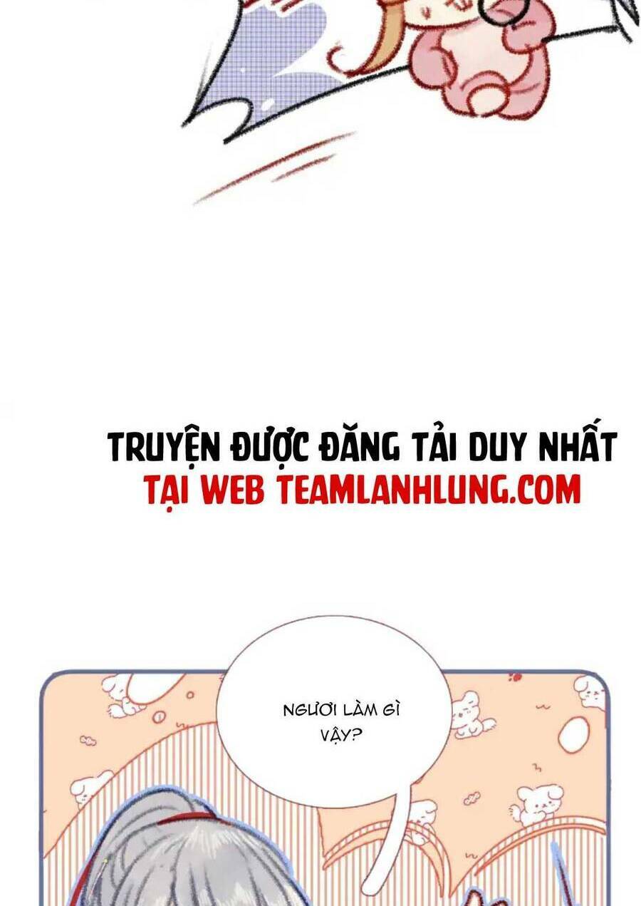 Hoàng Đế Bệ Hạ : Cùng Ta Đi Ăn Xin Nào Chương 12 Ảnh 17